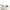 Ivory White